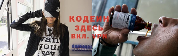 прущие грибы Верея