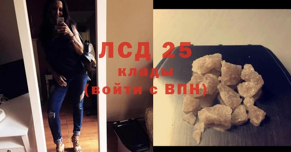 прущие грибы Верея