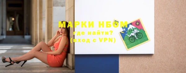 прущие грибы Верея