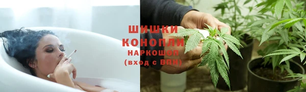 прущие грибы Верея