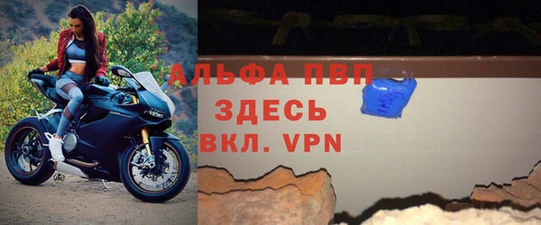 прущие грибы Верея